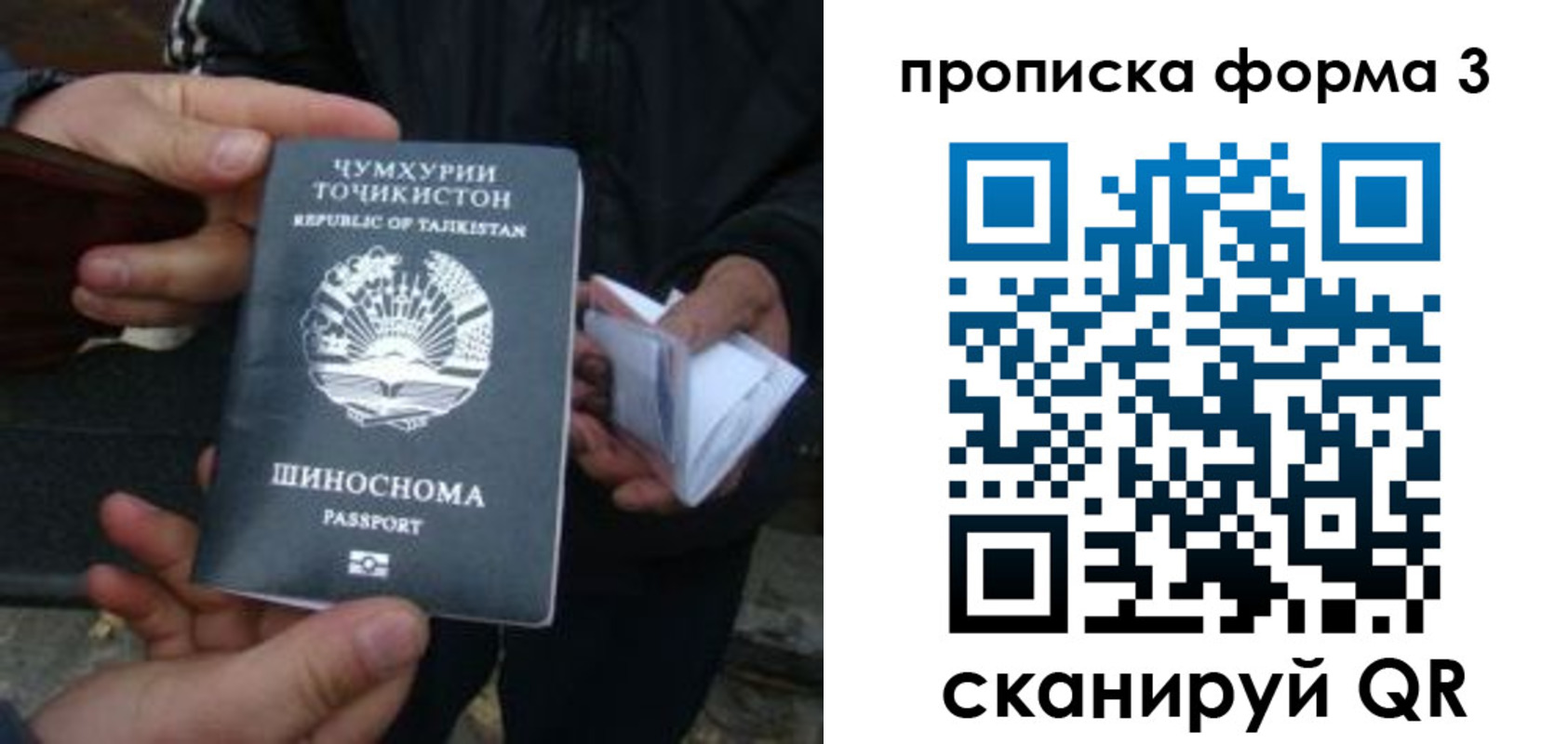 прописка 2025 в Боброве